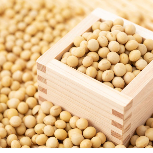 Getrocknete Natto Sojabohnen 45g