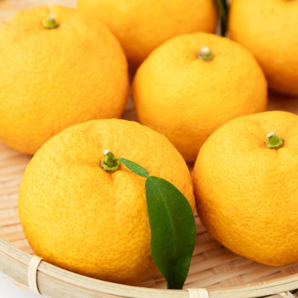 Yuzu Kosho Chili Paste 60g