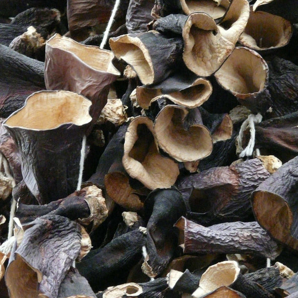 Black Fungus Mu-Err Mushroom